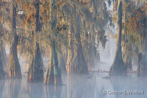 Lake Martin_26234.jpg - Photographed in the Cypress Island Preserve near Breaux Bridge, Louisiana, USA. 